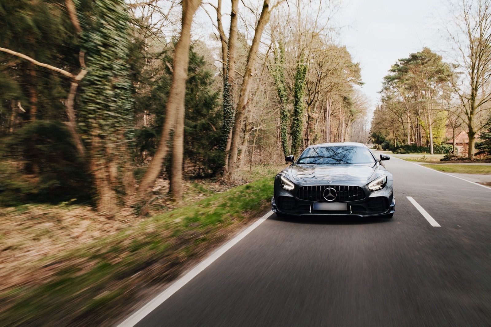 Grauer Mercedes-AMG GT R Pro in voller Fahrt auf einer Landstraße durch einen Kiefernwald